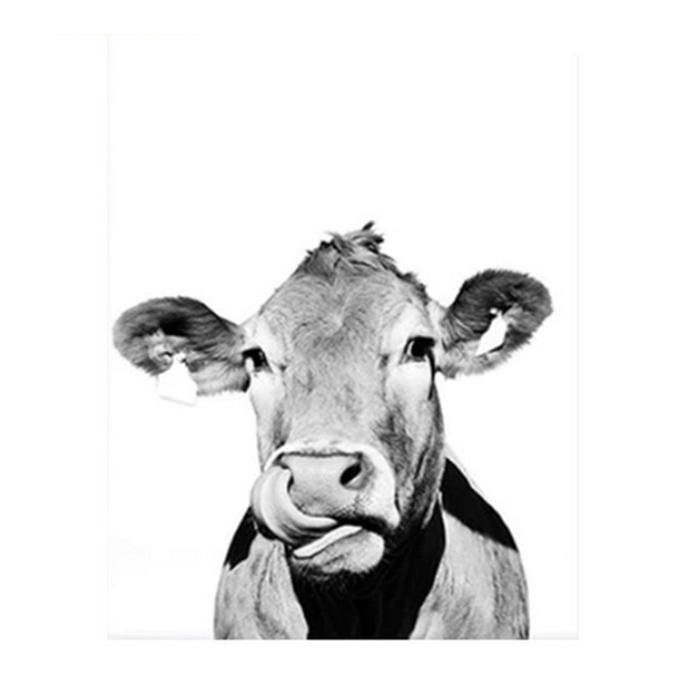 Playful Black and White Cow - 40x50 cm paint by numbers kit