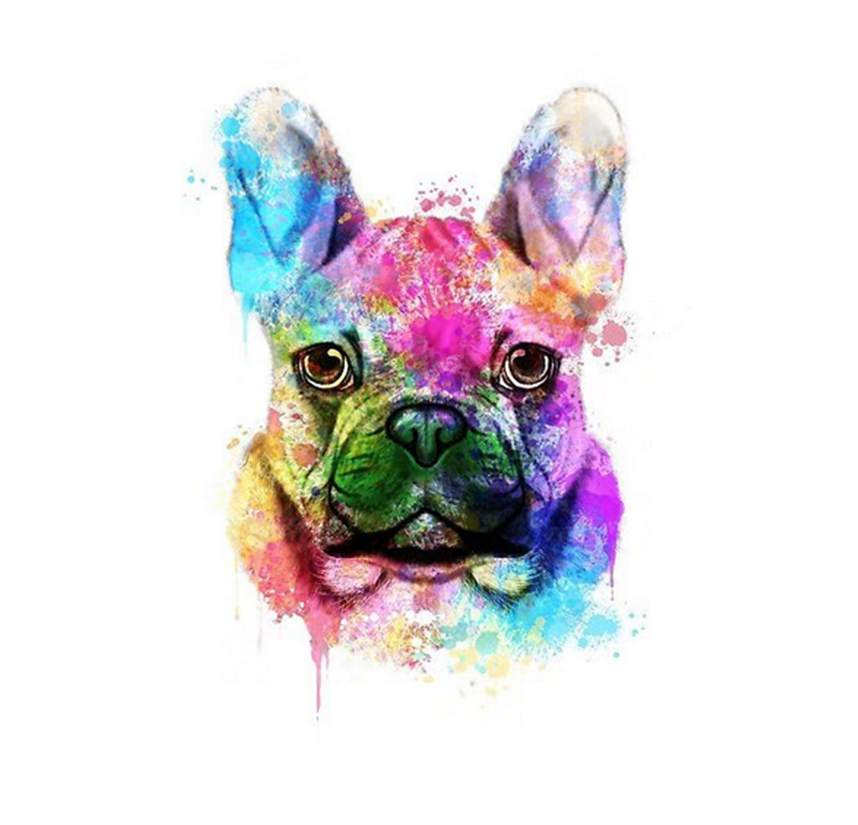 Colorful Watercolor Bulldog - 40x50 cm paint by numbers kit