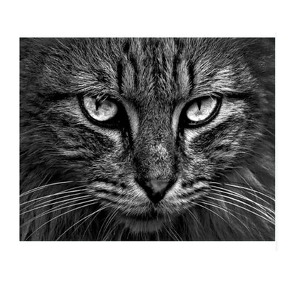 Black and White Cat Eyes - 40x50 cm paint by numbers kit