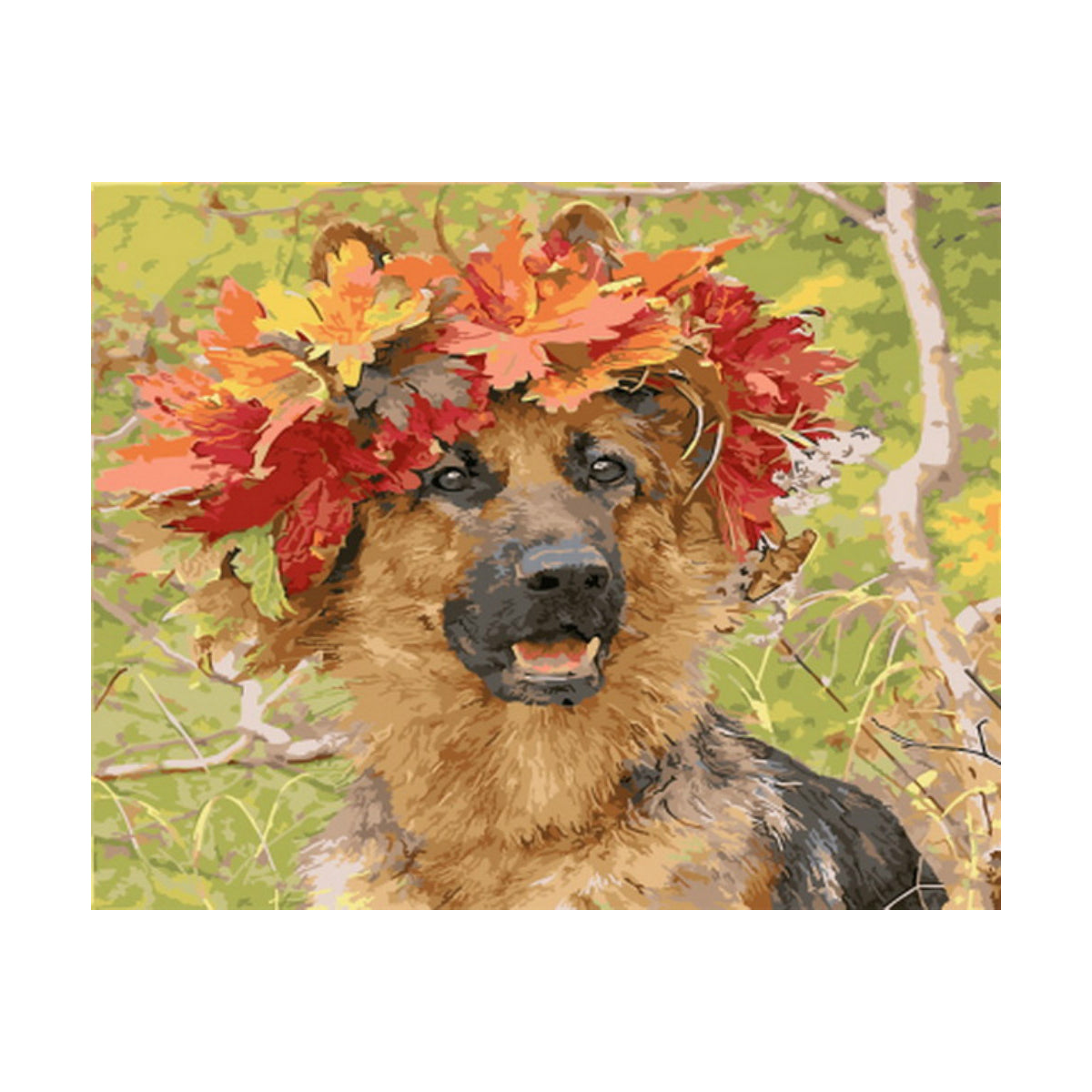 Autumn Crown Shepherd - 40x50 cm paint by numbers kit