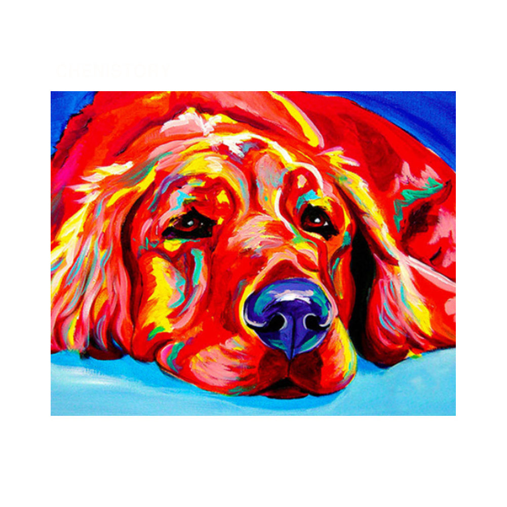 Red Rainbow Retriever - 40x50 cm paint by numbers kit