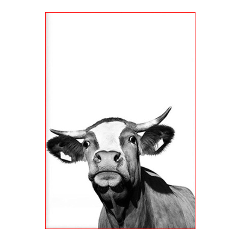 Curious Black and White Cow - 40x50 cm paint by numbers kit
