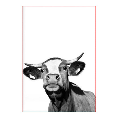 Curious Black and White Cow - 40x50 cm paint by numbers kit