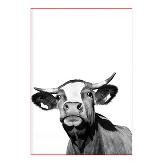 Curious Black and White Cow - 40x50 cm paint by numbers kit