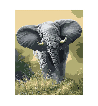 Majestic African Elephant - 40x50 cm paint by numbers kit