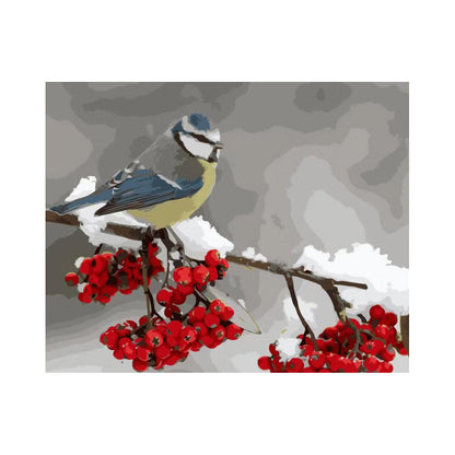 Winter Bird and Red Berries - 40x50 cm paint by numbers kit