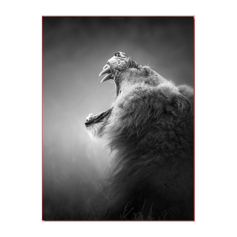 Roaring Bear in Black and White - 40x50 cm paint by numbers kit