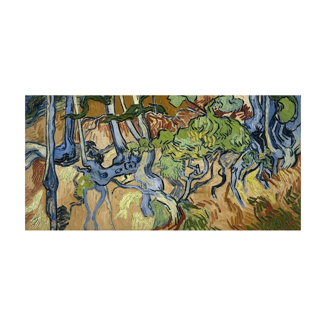 Twisted Tree Roots - 40x50 cm paint by numbers kit