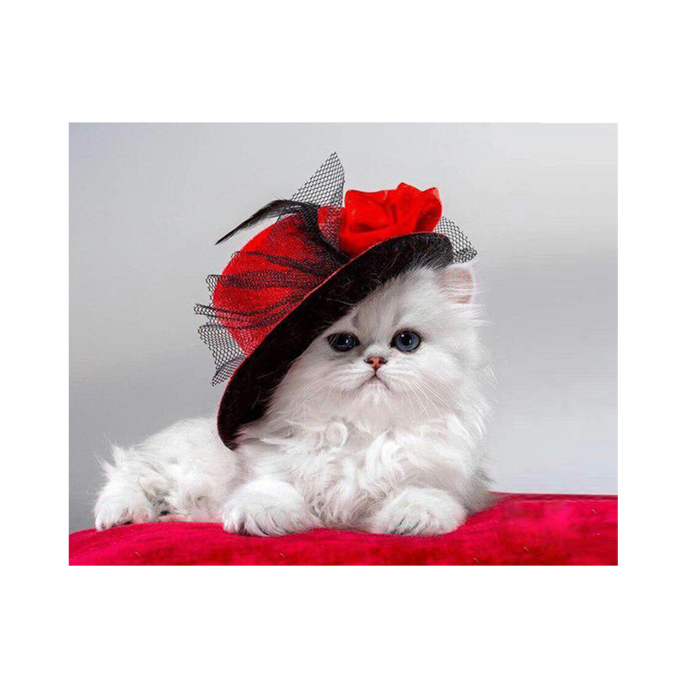 Elegant White Cat in Red Hat - 40x50 cm paint by numbers kit