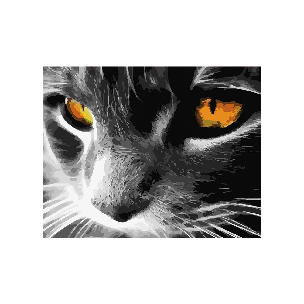 Golden Eyes Cat Close-Up - 40x50 cm paint by numbers kit