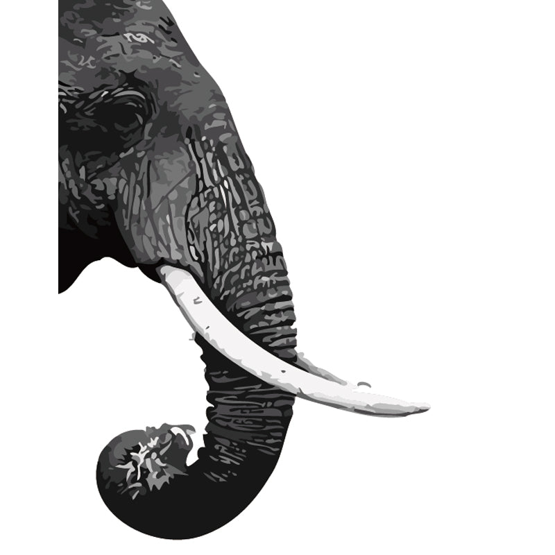 Black and White Elephant - 40x50 cm paint by numbers kit