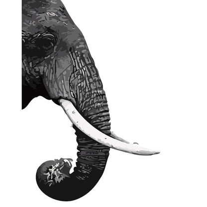 Black and White Elephant - 40x50 cm paint by numbers kit