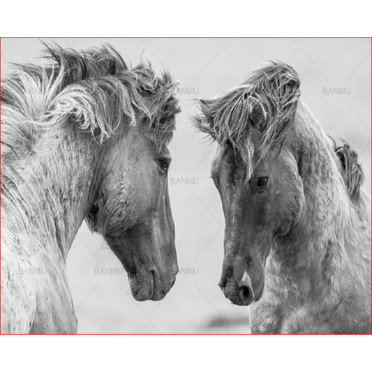Wild Horses Together