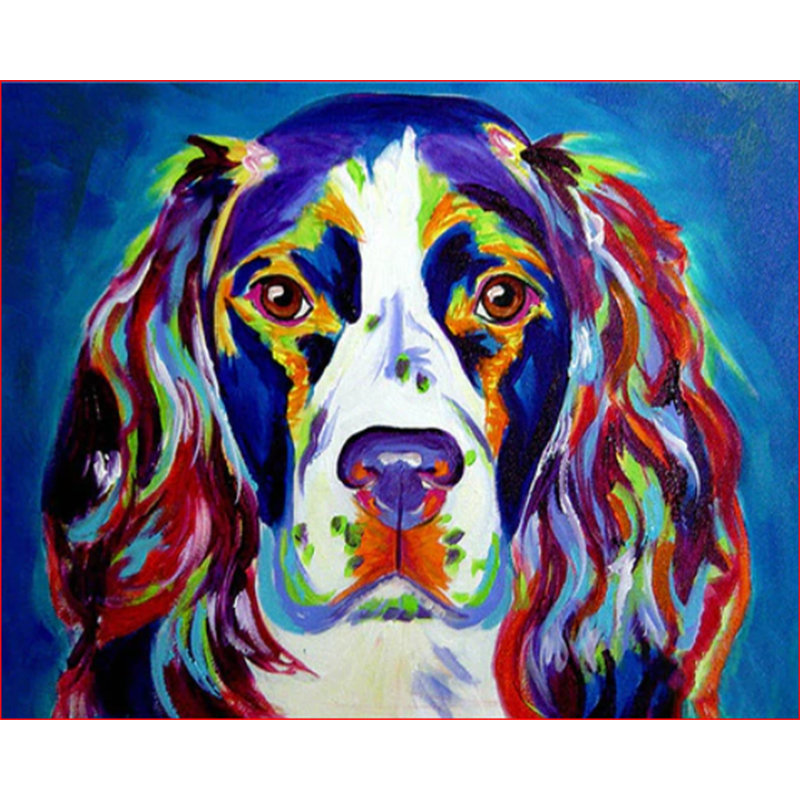 Buntes Spaniel-Porträt
