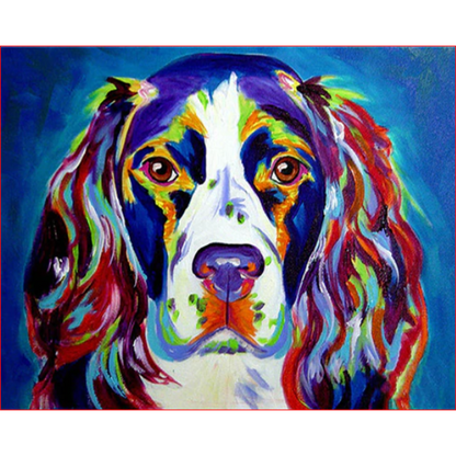 Buntes Spaniel-Porträt