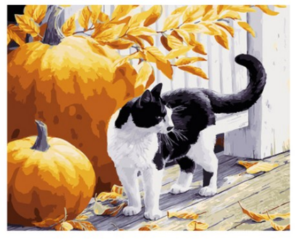 Autumn Cat with Pumpkins - 40x50 cm paint by numbers kit