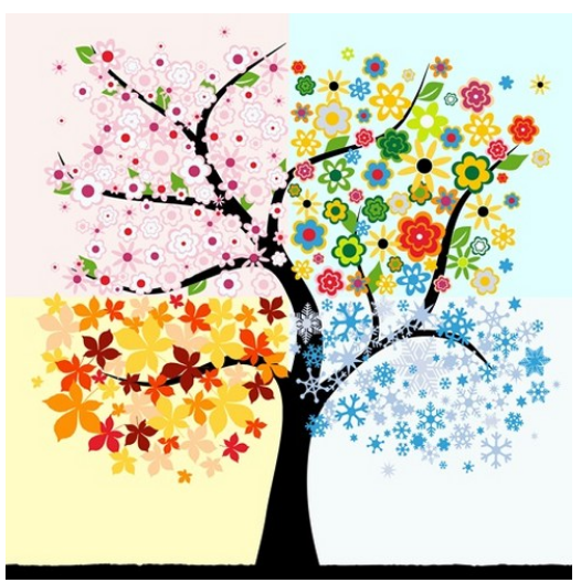 Four Seasons Tree - 40x50 cm paint by numbers kit