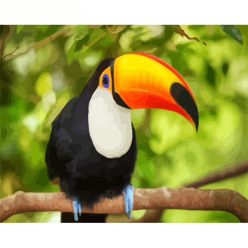 Tropical Toucan - 40x50 cm paint by numbers kit