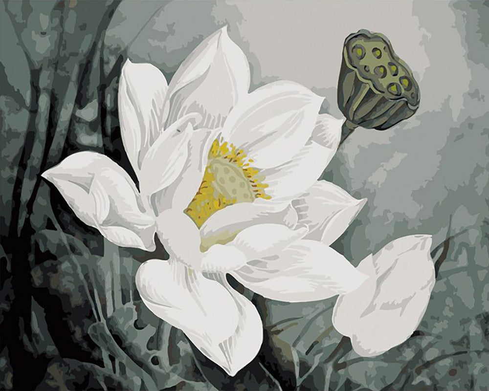 White Lotus Bloom