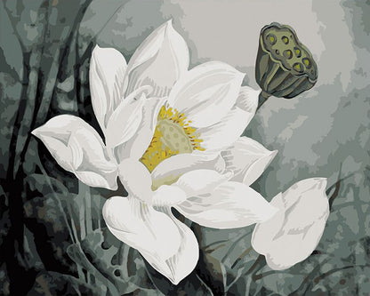 White Lotus Bloom