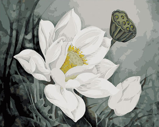 White Lotus Bloom