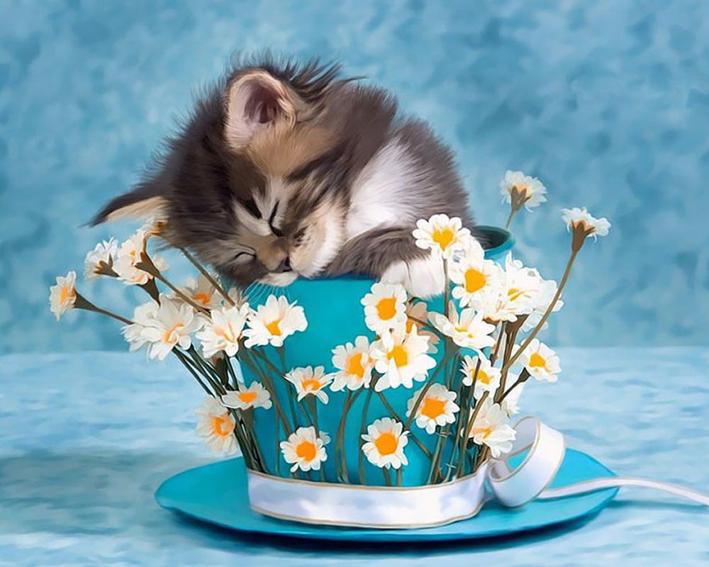 Sleeping Kitten in Teacup - 40x50 cm paint by numbers kit