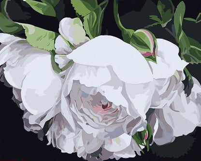 White Peony Blossom - 40x50 cm paint by numbers kit