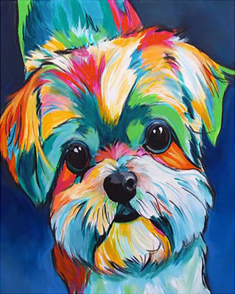 Rainbow Shih Tzu - 40x50 cm paint by numbers kit