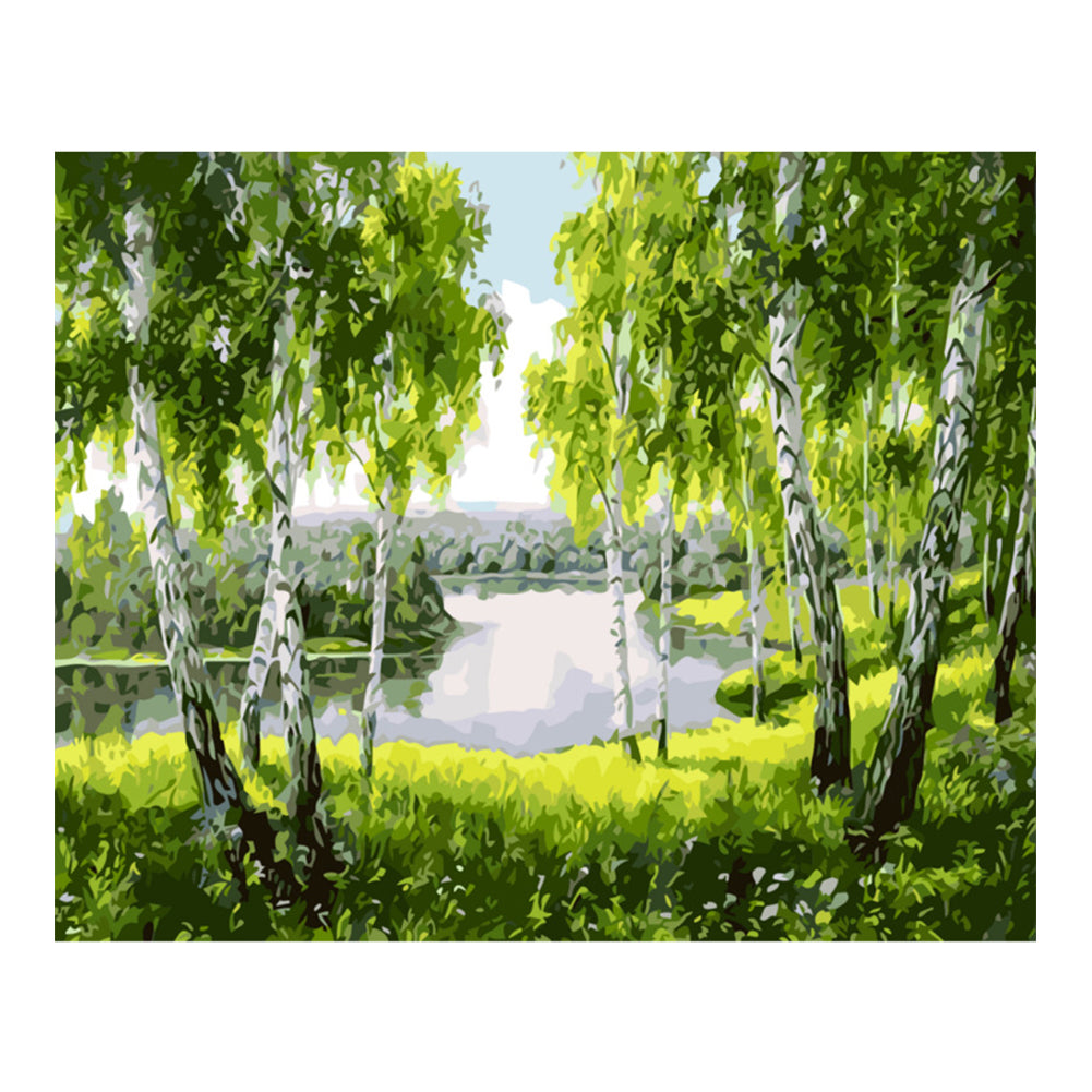Birch Grove by the Lake - 40x50 cm paint by numbers kit
