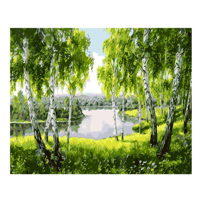 Birch Grove by the Lake - 40x50 cm paint by numbers kit