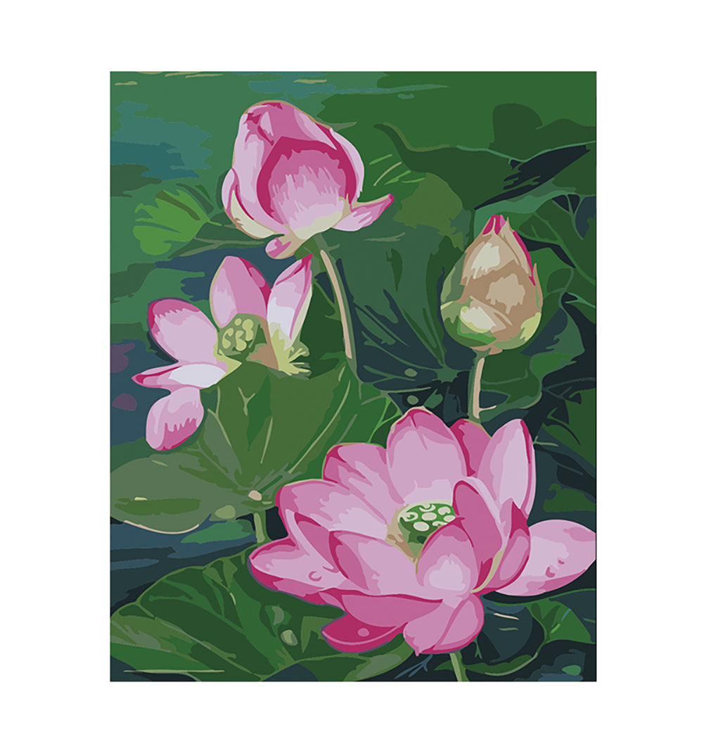 Pink Lotus Garden - 40x50 cm paint by numbers kit