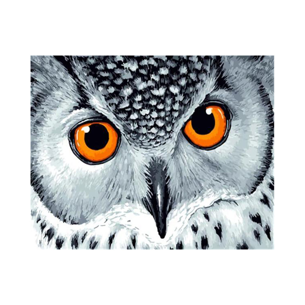 Snowy Owl Eyes - 40x50 cm paint by numbers kit