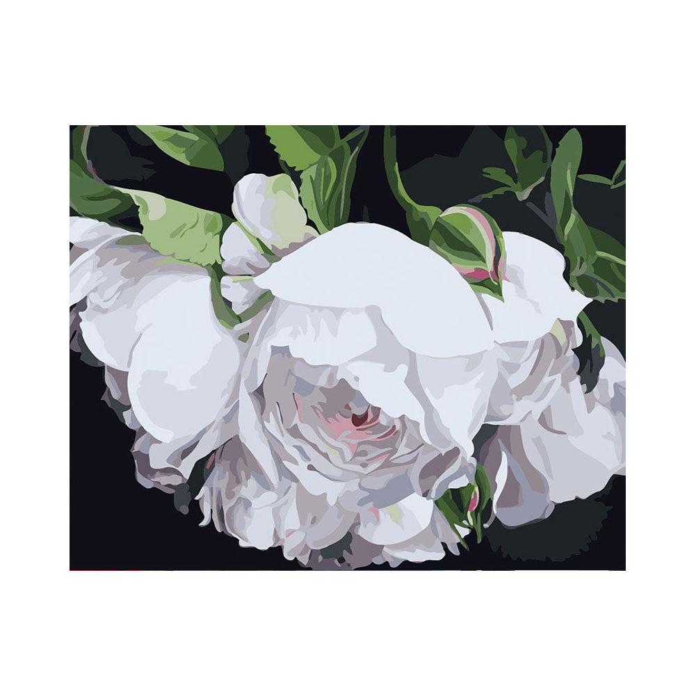 White Peony Blossoms - 40x50 cm paint by numbers kit
