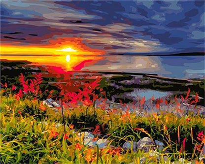 Wildflowers at Sunset - 40x50 cm paint by numbers kit
