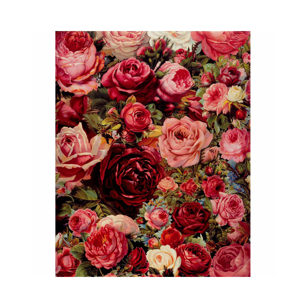 Abundant Rose Garden - 40x50 cm paint by numbers kit