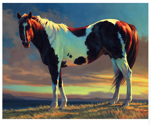 Painted Horse at Sunset - 40x50 cm paint by numbers kit