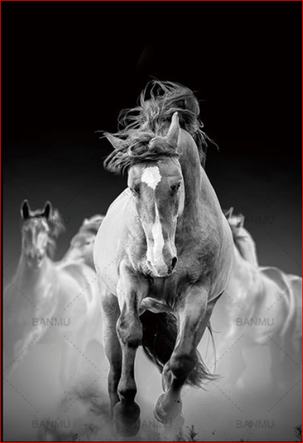 Wild Horses Running Free - 40x50 cm paint by numbers kit