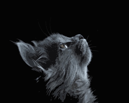 Moonlit Black Cat - 40x50 cm paint by numbers kit