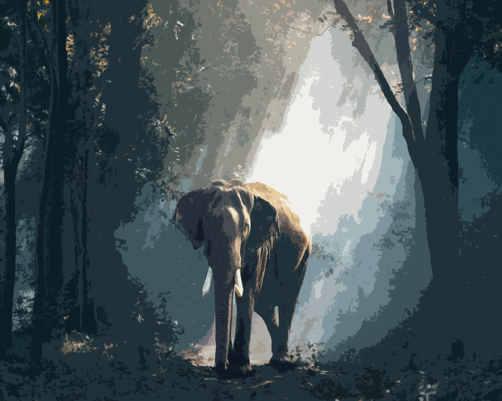 Elephant in Forest Light - 40x50 cm paint by numbers kit