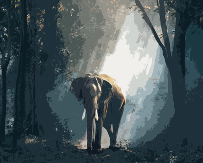 Elephant in Forest Light - 40x50 cm paint by numbers kit