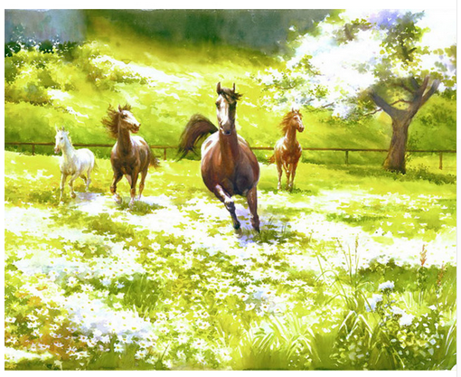 Horses in Sunlit Meadow - 40x50 cm paint by numbers kit