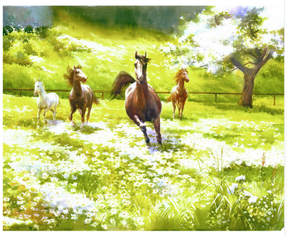 Horses in Sunlit Meadow - 40x50 cm paint by numbers kit