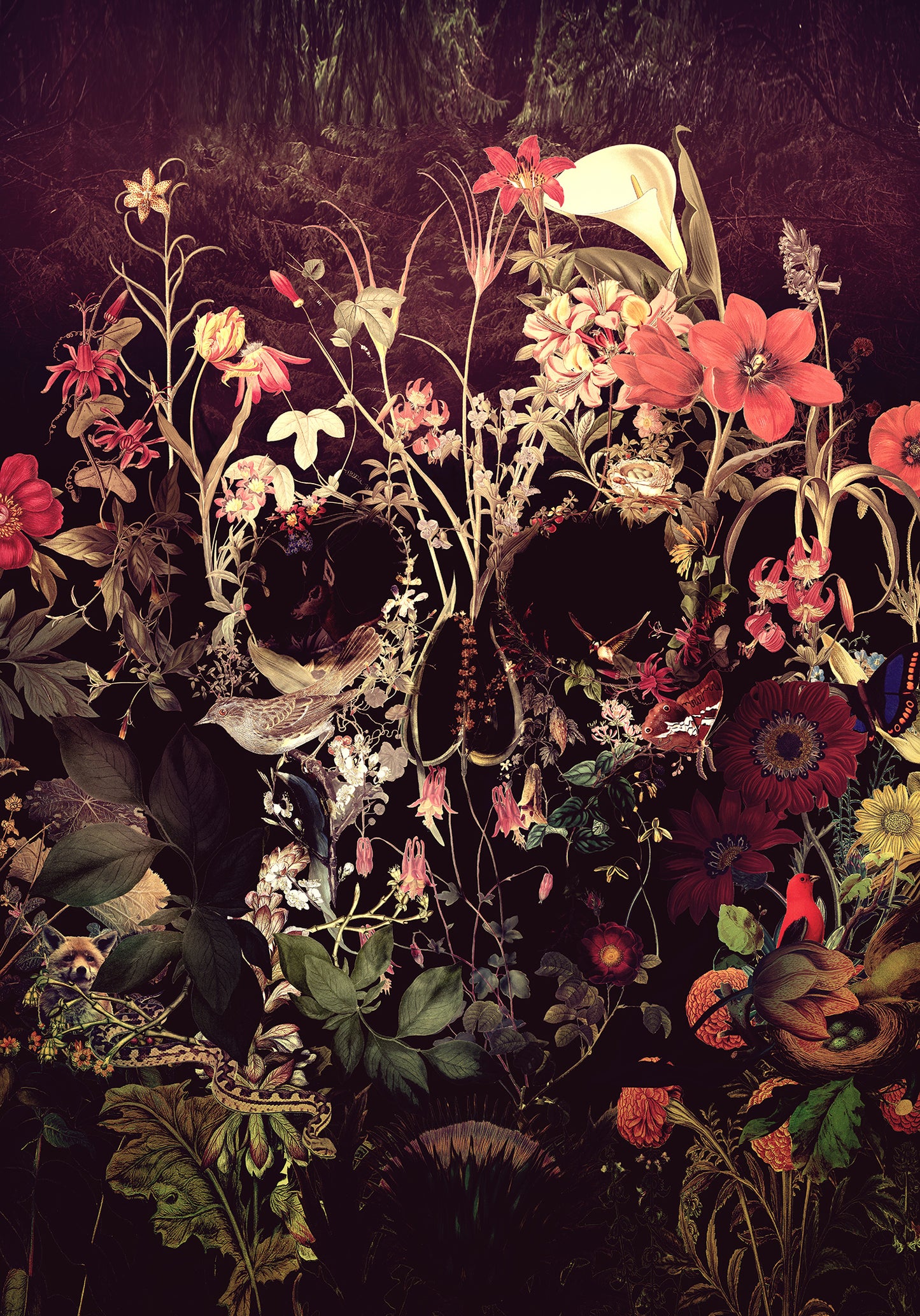 Butterfly Skull Bloom - 40x50 cm paint by numbers kit