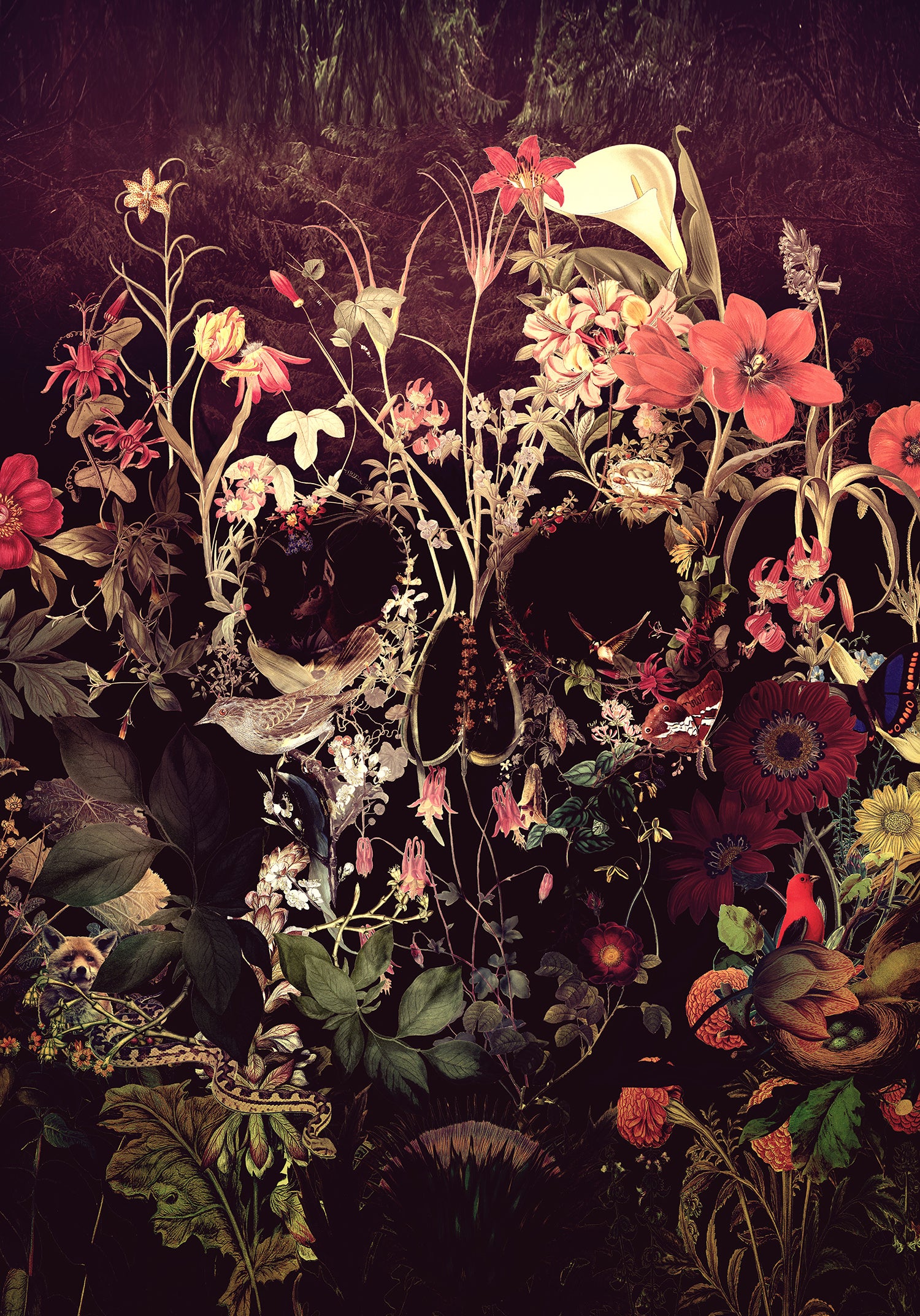 Butterfly Skull Bloom - 40x50 cm paint by numbers kit