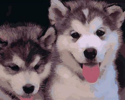 Playful Husky Puppies - 40x50 cm paint by numbers kit