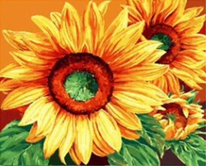 Bright Sunflower Trio - 40x50 cm paint by numbers kit