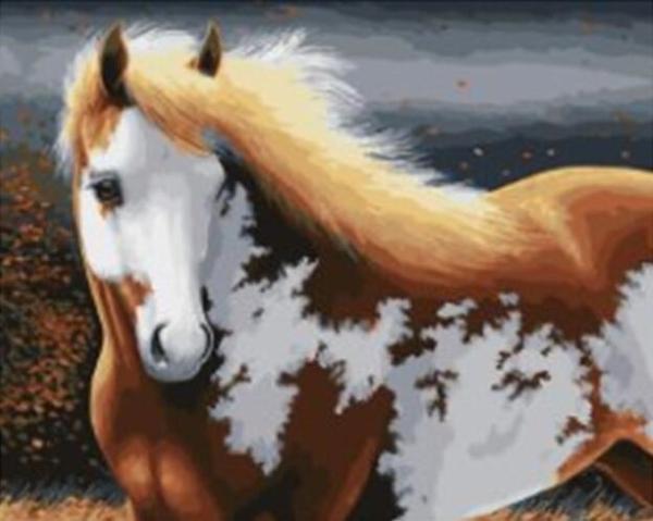 Chestnut Paint Horse - 40x50 cm paint by numbers kit