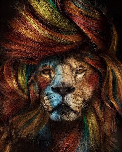 Wild Color Lion - 40x50 cm paint by numbers kit