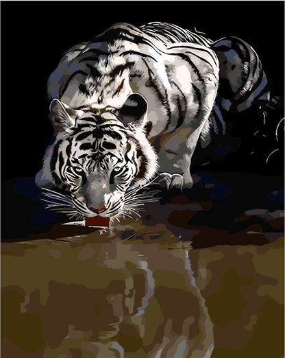 White Tiger Reflection - 40x50 cm paint by numbers kit