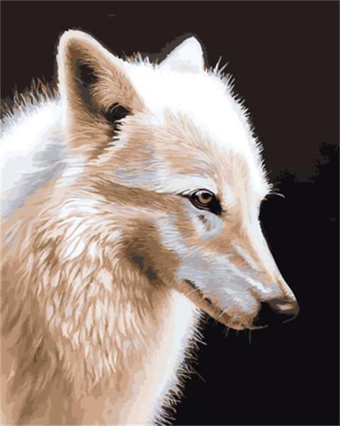 White Wolf Portrait - 40x50 cm paint by numbers kit